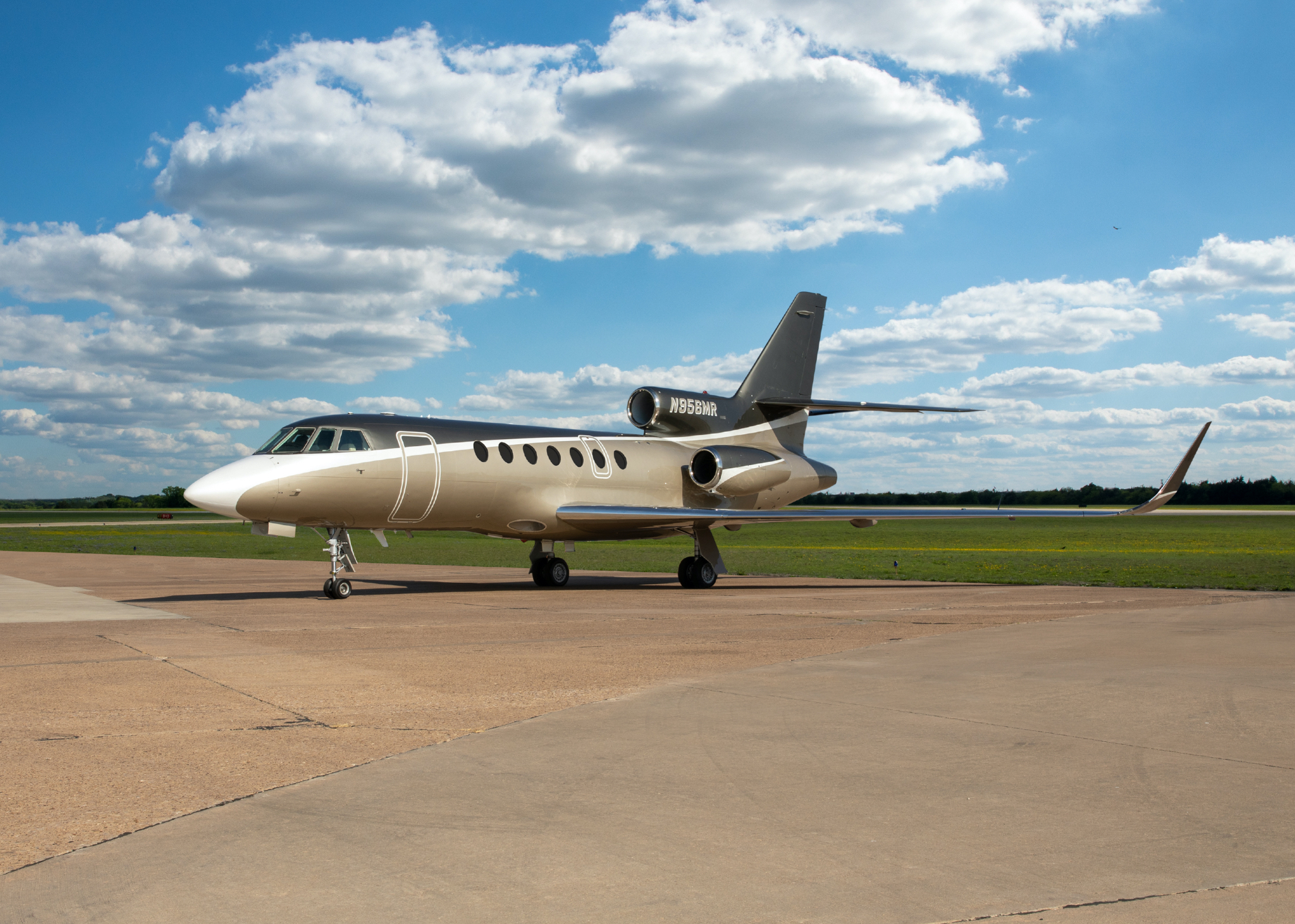 Image of tail M-OOMR