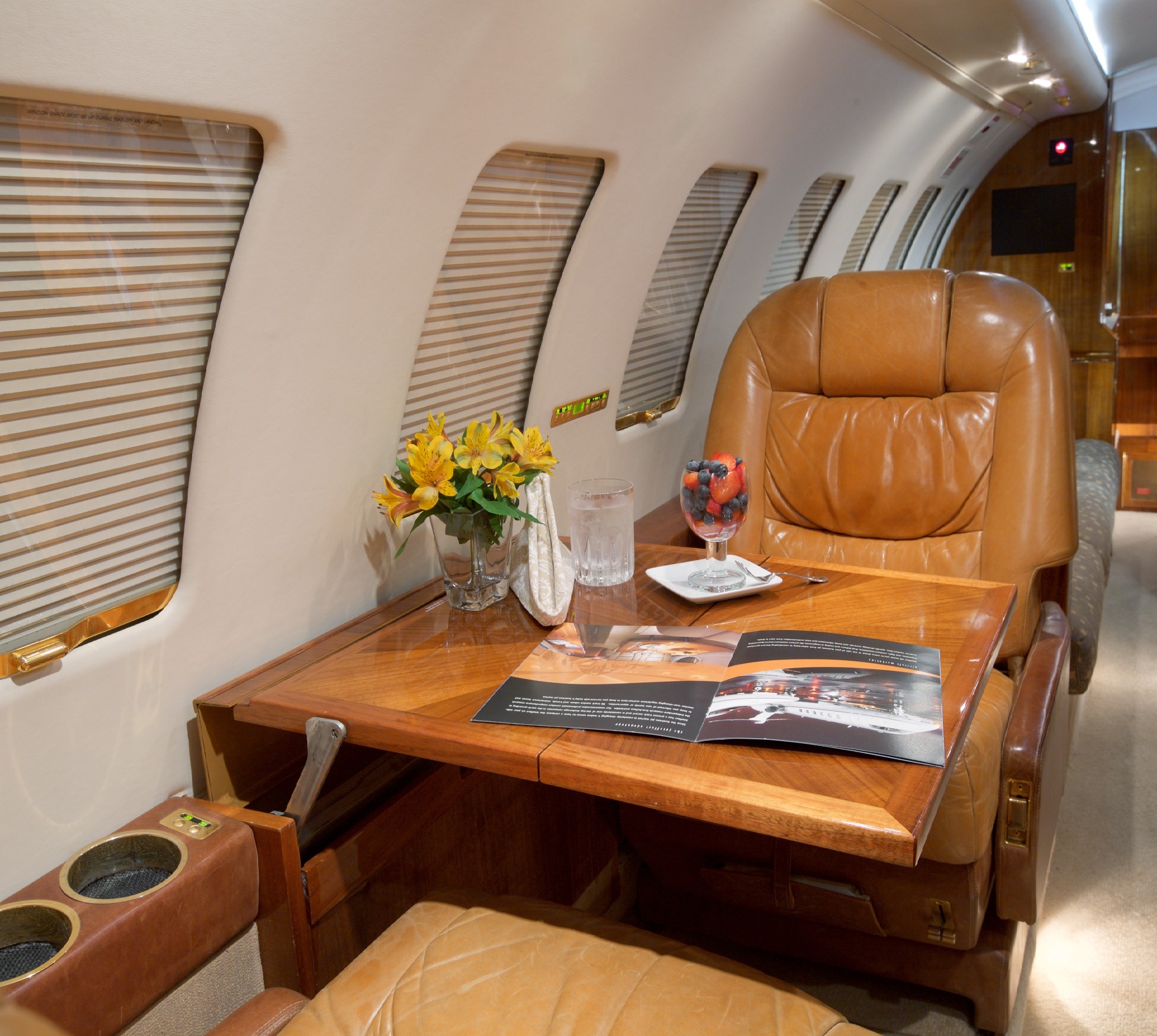 Aircraft Image for N216WD