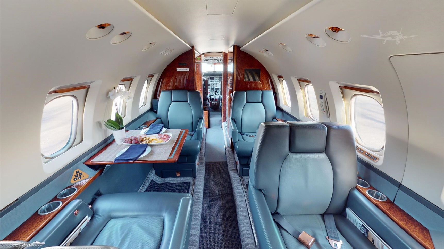 Aircraft Image for N224JL