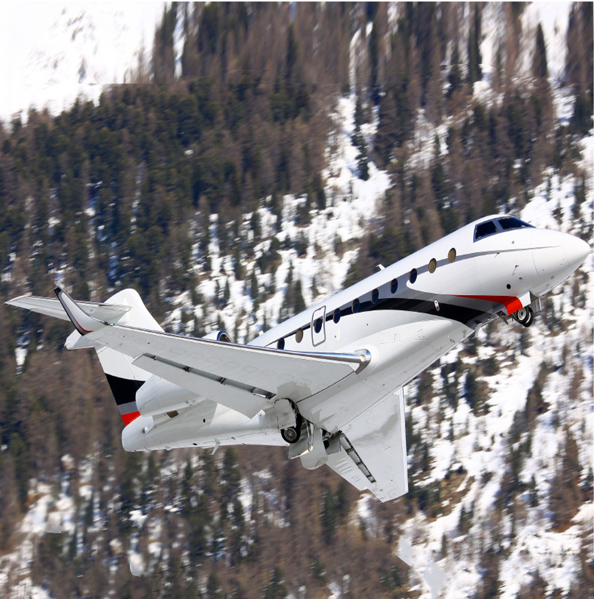 Image of tail N317JC