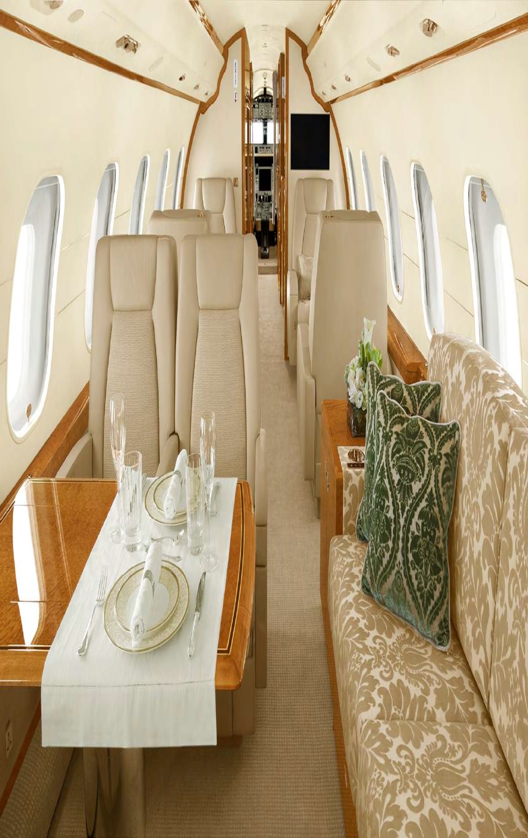 Aircraft Image for N490BA