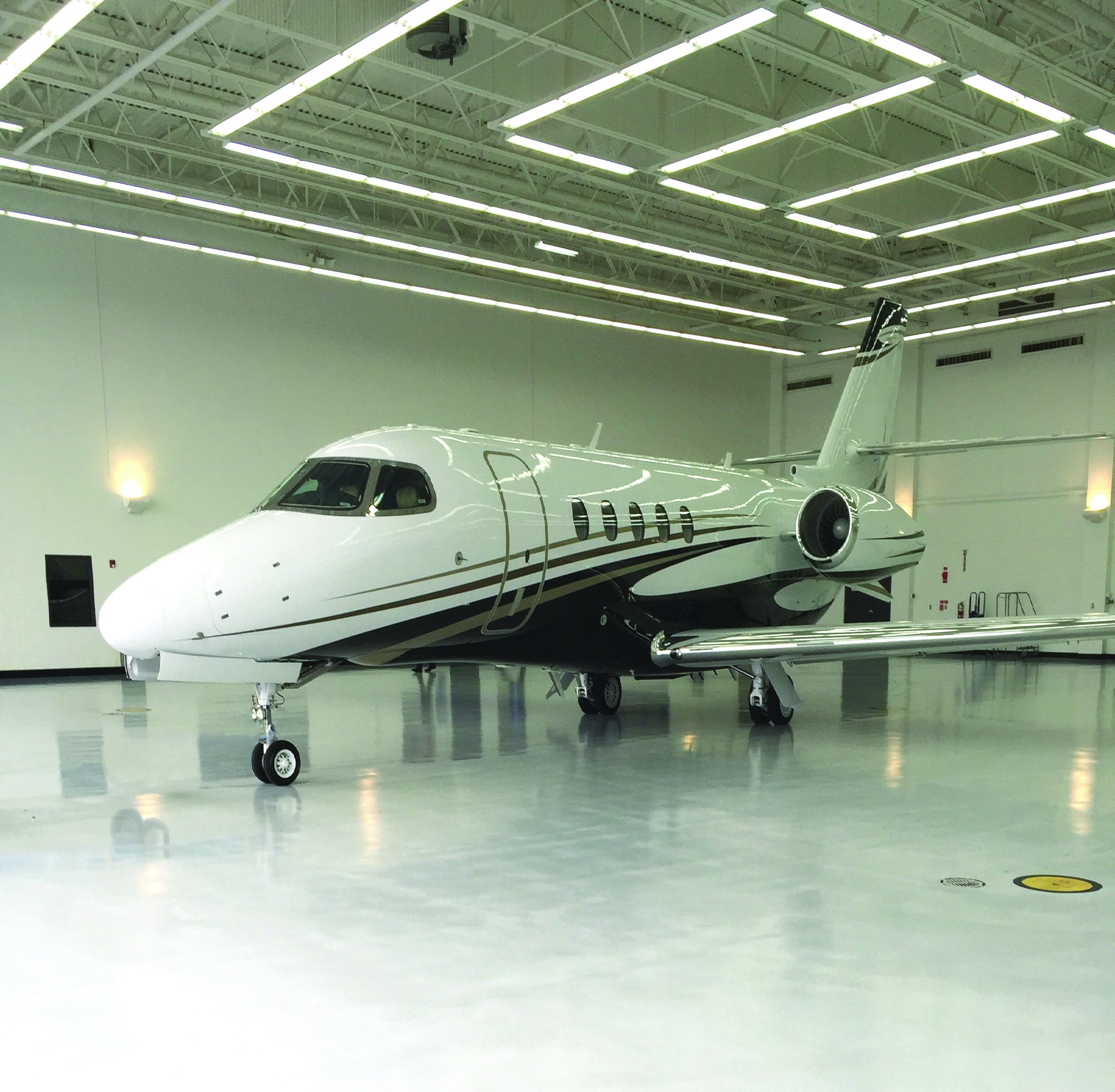 Image of tail N61JD