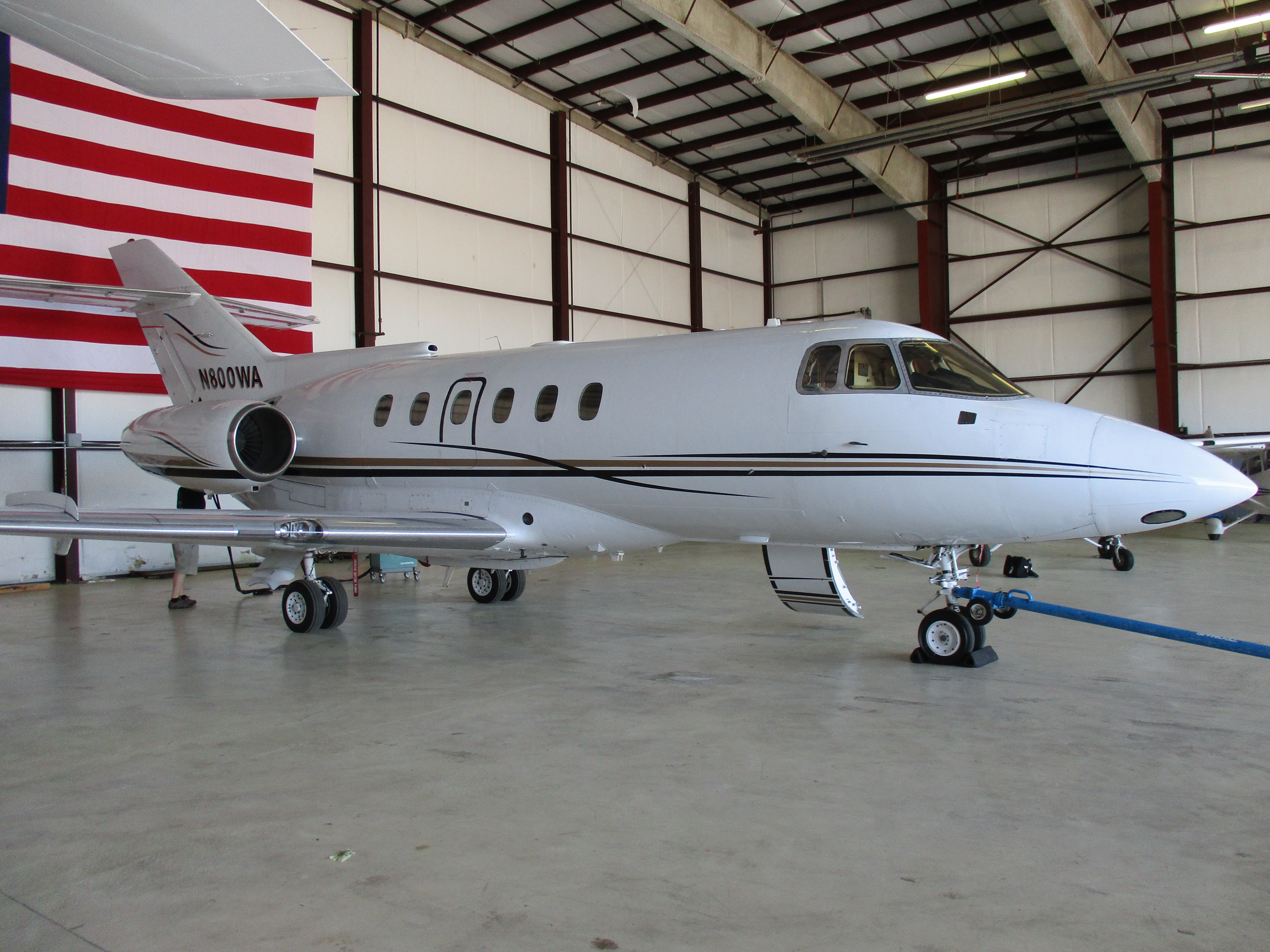 Image of tail N800WA