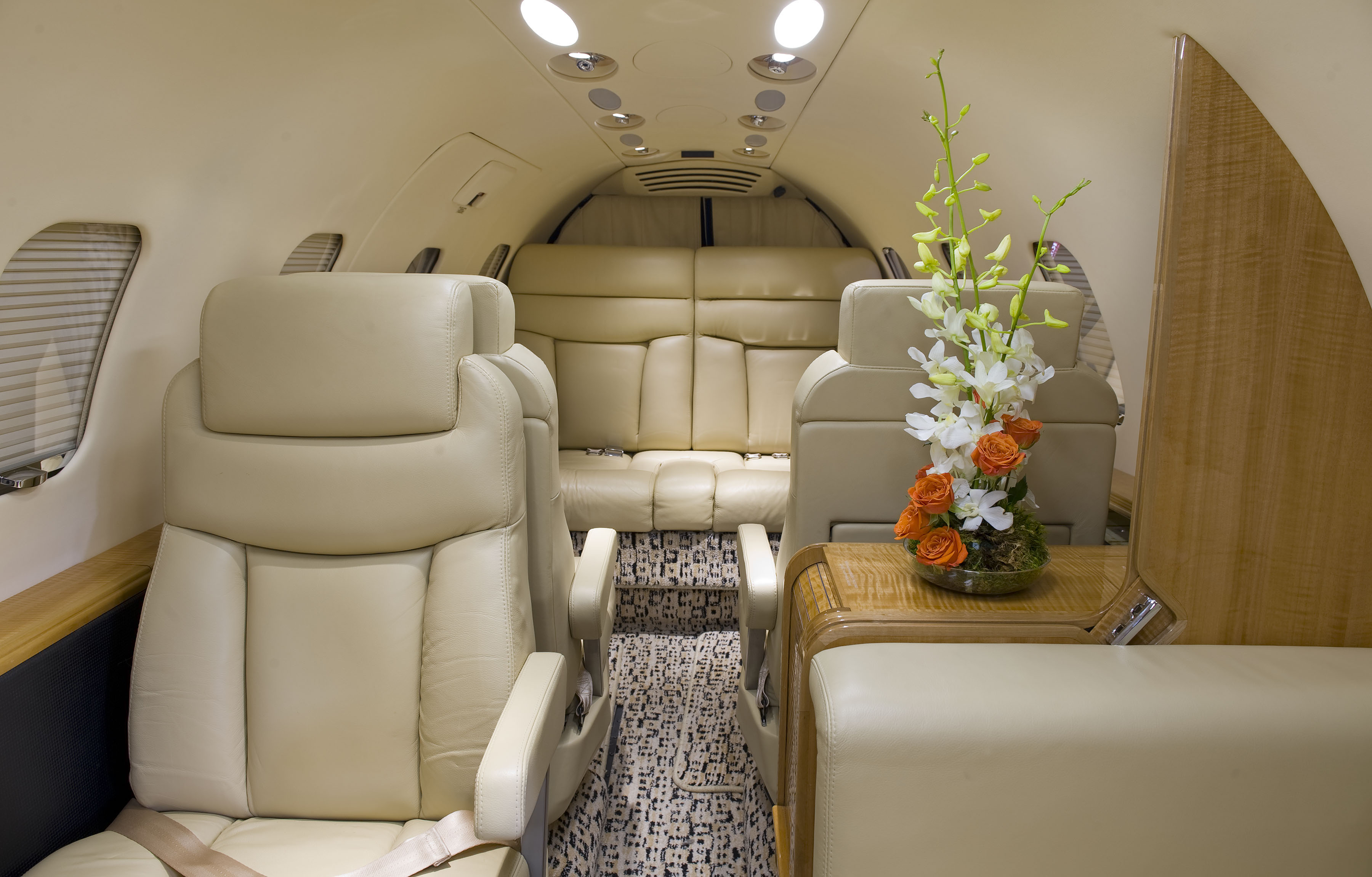 Aircraft Image for N890LJ