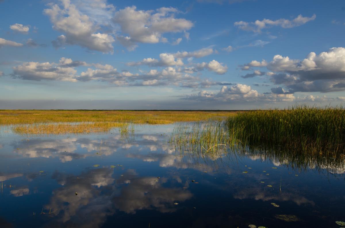 Image of city Okeechobee, FL