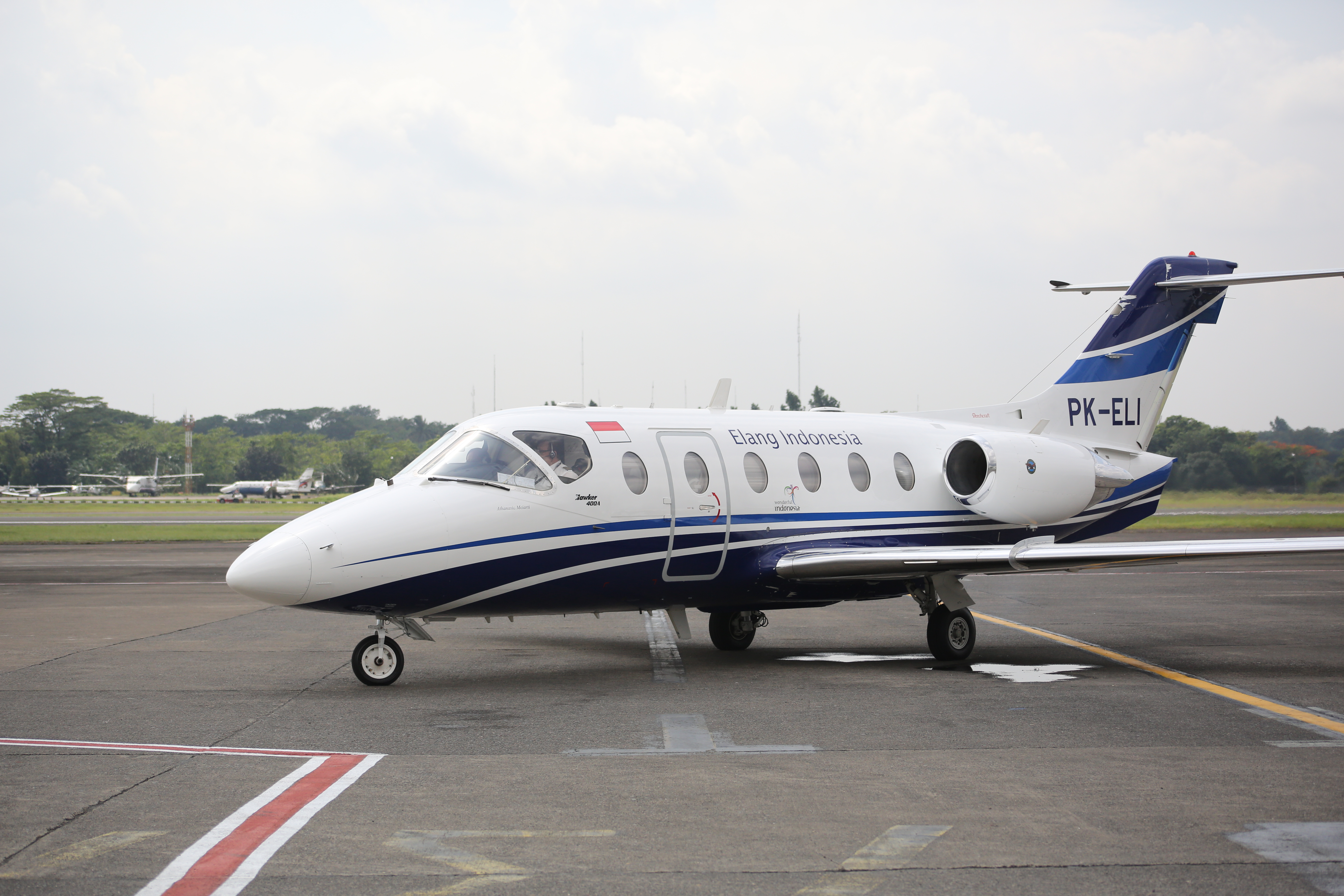 Aircraft Image for PK-ELI