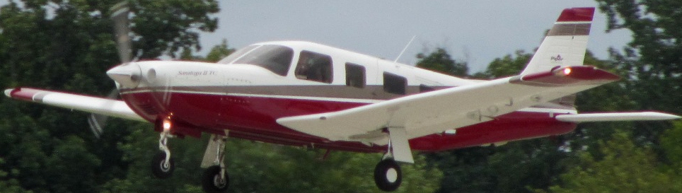 Image of tail XAUQK