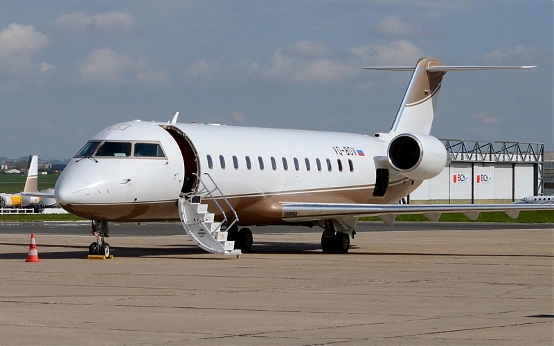 Image of tail T7-CCM