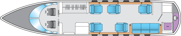 Aircraft Image for TC-SBL