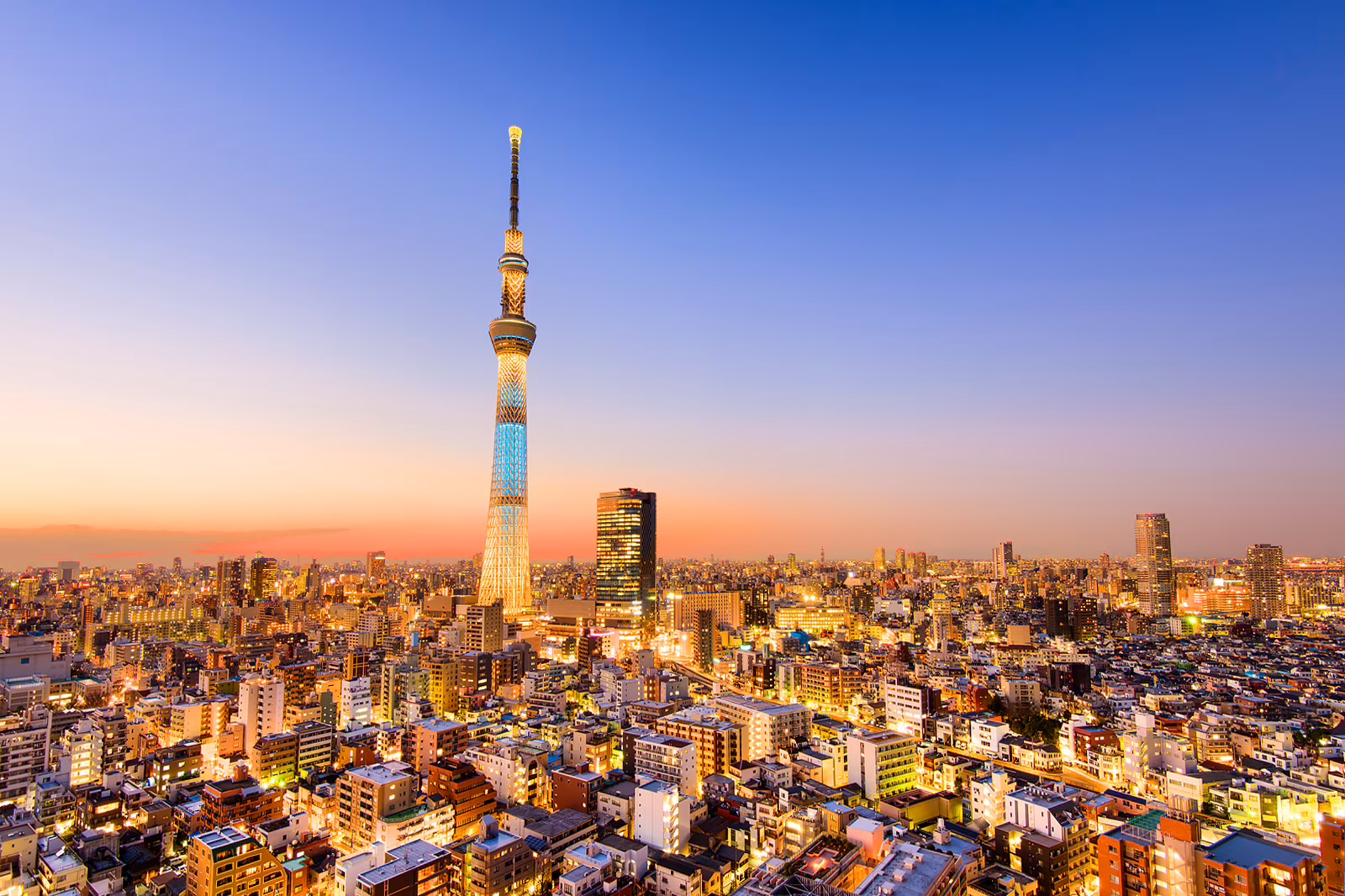 Tokyo Haneda International Airport Image
