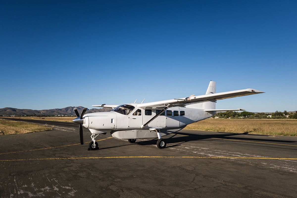 Image of tail V5-NOP
