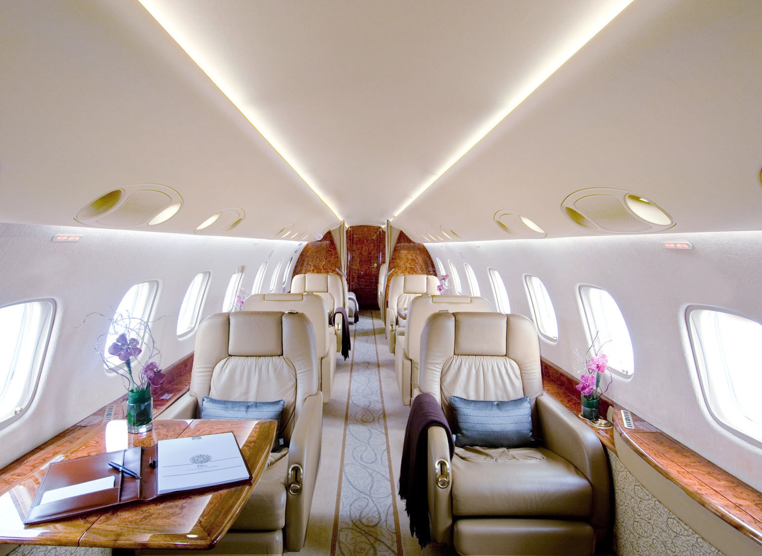 Aircraft Image for VP-BGV