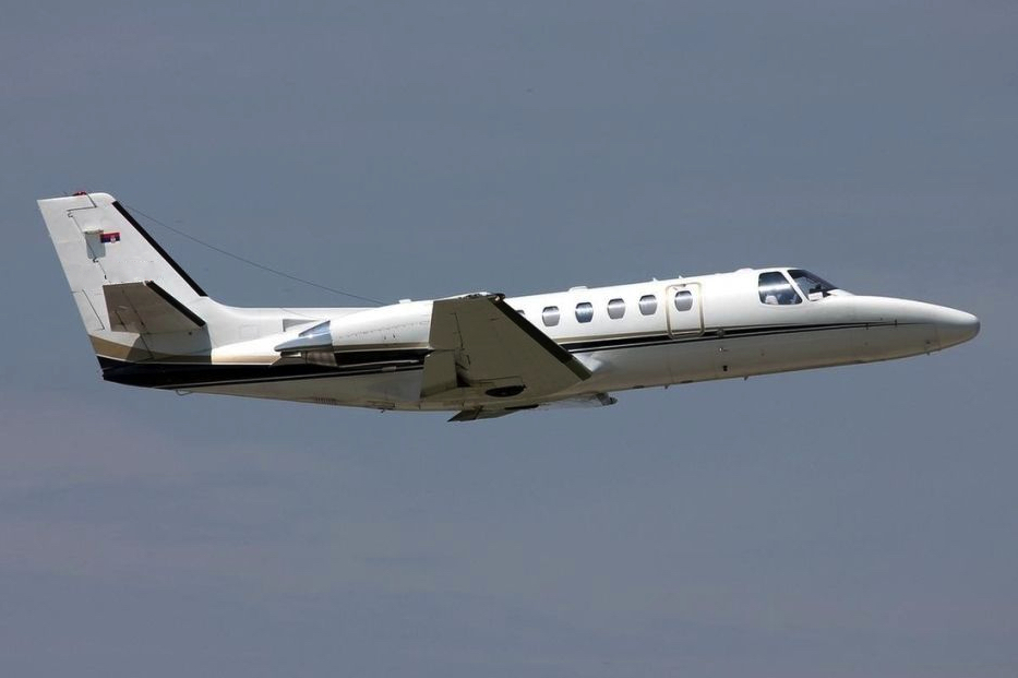 Image of tail YU-BTB